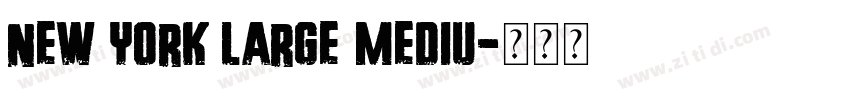 New York Large Mediu字体转换